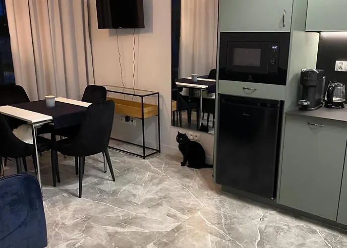 Apartament W Centrum Hel